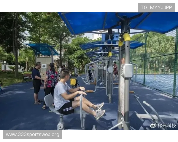 深入了解333体育平台的特色功能与用户体验提升方案